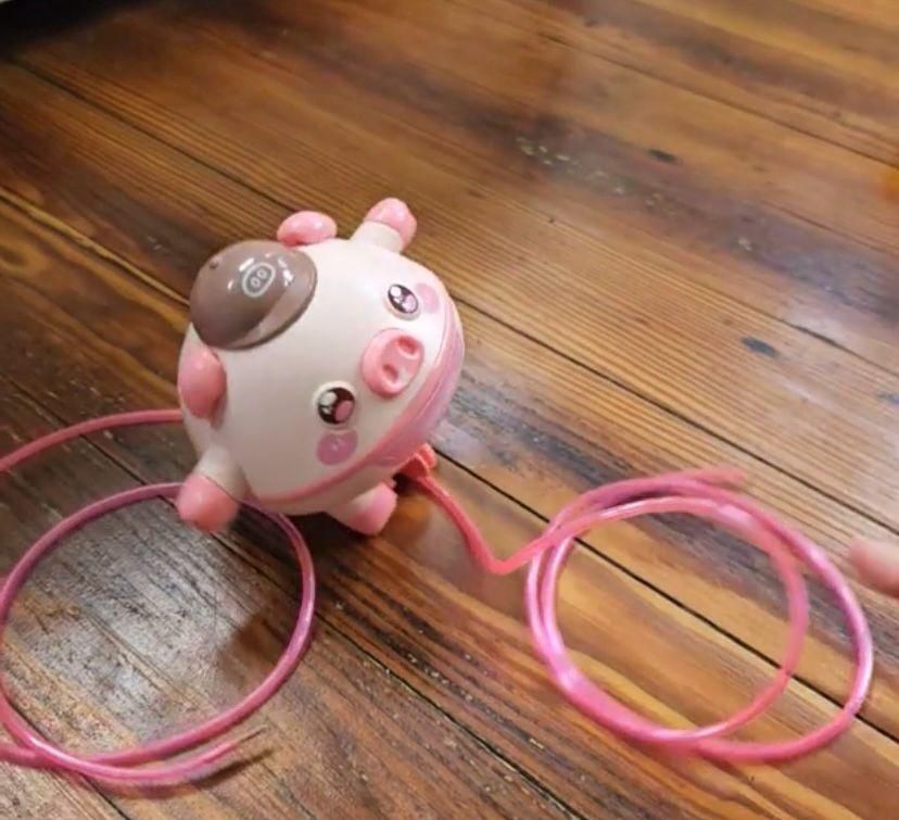 🐷 Tightrope Walking Tumbler Pig – Fun, Educational Toy for Kids